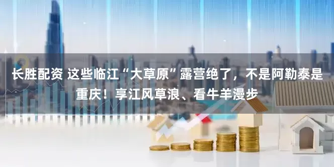 长胜配资 这些临江“大草原”露营绝了，不是阿勒泰是重庆！享江风草浪、看牛羊漫步